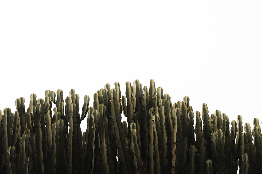 “印度首部AI电影”计划明年上映